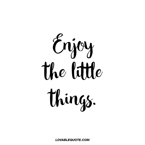 enjoy-the-little-things-love-lovable-quote